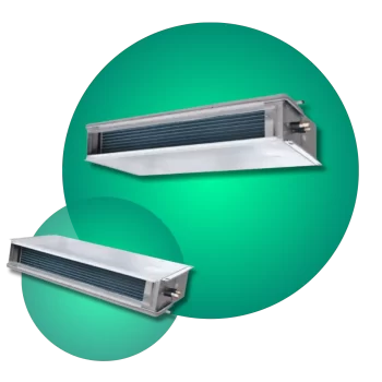 Categoria multiflexibles Categoria multiflexibles