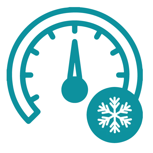 Control electrónico digital