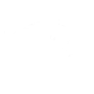 Repuestos Kalley