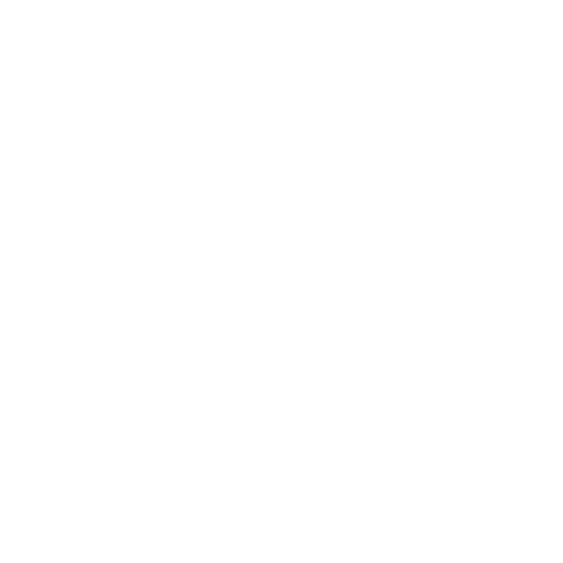 Turtle Beach